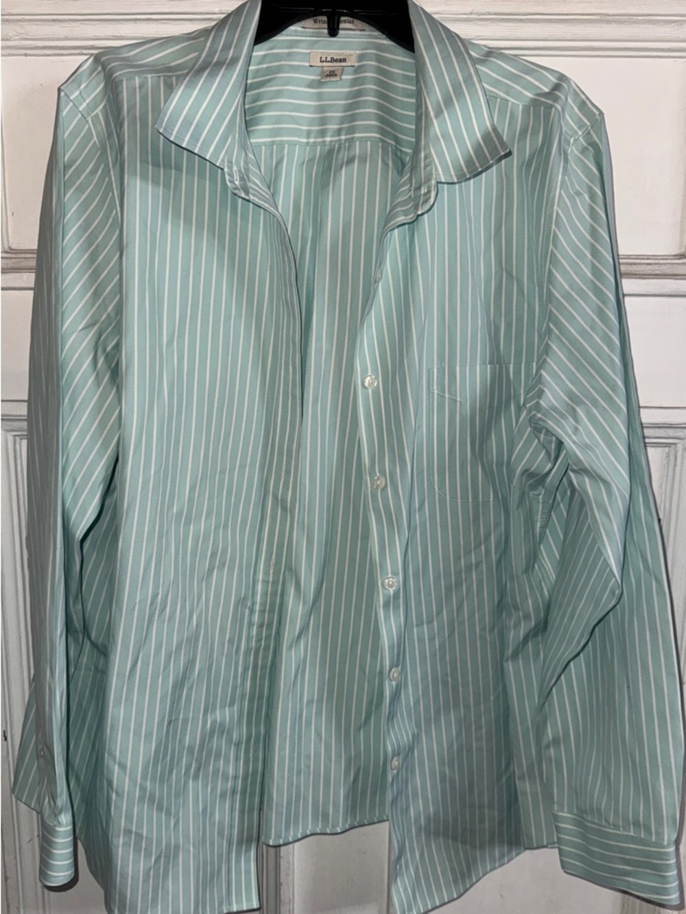 L.L. Bean women’s Light Mint Green and White Striped Dress Shirt